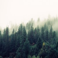Cosmic Calm - Powerthoughts Meditation Club & Relaxed Minds