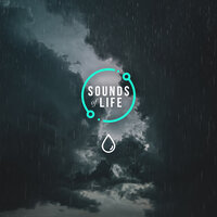 Rain Heavy and Loud Thunder, Pt. 10 - Sounds Of Life