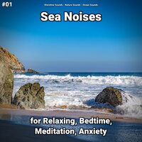 Sea Noises Part 30 - shoreline sounds & Nature Sounds & Ocean Sounds