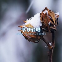 阅梦 - 林中意