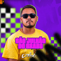 Forrozinho Bunda no Paredão - DJ ALEX O BRABO