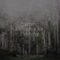 Piano in Paradise - Exam Study Classical Music & Ambiente & Natureza Musica Bem-Estar Academia