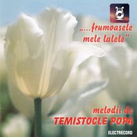 Măicuță, Îți Mulțumesc! - Dan Spataru