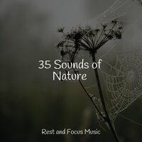 Winds at the Lake - Academia de Música para Massagem e Relaxamento & Binaural Beats Brain Waves Isochronic Tones Brainwave Entrainment & White Noise for Babies