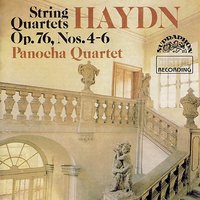String Quartet in B flat major, Op. 76, No. 4: III. Menuetto. Allegro - Йозеф Гайдн & Panocha Quartet