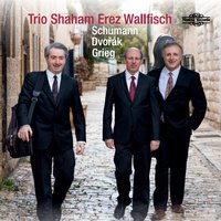 Piano Trio No. 1 in D Minor, Op. 63: II. Lebhaft doch nicht zu rasch - Hagai Shaham & Arnon Erez & Raphael Wallfisch & Johann Sebastian Bach