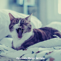 Uplifting (Cute Kittens) - Fantastic Music for Cats