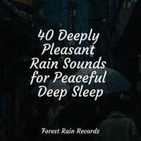 Forest, Wind, Heavy - Mother Nature FX & Música para Massagem Especialistas & Easy Sleep Music