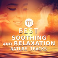 Magic Forest Cans - Serenity Music Relaxation