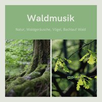 Ruhige Atmosphäre - Evan Tierisch