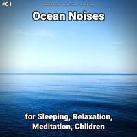 Ocean Noises Part 80 - shoreline sounds & Nature Sounds & Ocean Sounds