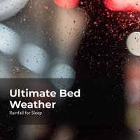 Twilight Fall of Rain - Rainfall For Sleep & Rain Man Sounds & Rain Shower