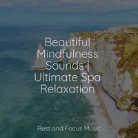 Quiet Places - Studying Music & Sleeping Music & Anxiety Relief