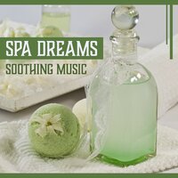 Soft Piano (Healing Water) - Spa Music Paradise Zone