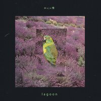 Chiquita - Mujo