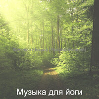 Видения (Расслабляющий) - Музыка для йоги