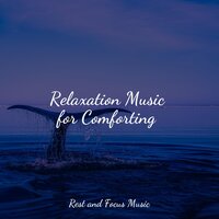 Fireside Sessions - Deep Relaxation Meditation Academy & Entspannungsmusik Meer & Alpha Brain Waves