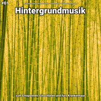 Hintergrundmusik pt. 2 - Entspannungsmusik Bodo Steier & Schlafmusik & Entspannungsmusik