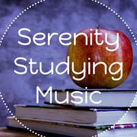 Power of the Mind - Reading and Studying Music