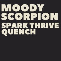 Flicker - Moody Scorpion