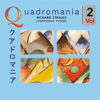 Songs with Orchestra: Waldseligkeit, Op. 49, 1 - Berliner Philharmoniker & Peter Anders & Wilhelm Furtwängler & Рихард Штраус