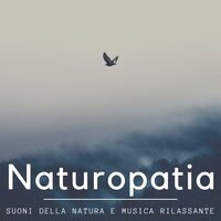 La bellezza della natura - Spirito Libero