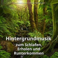 Chillout im Raum - Entspannungsmusik Bea Jenges & Schlafmusik & Entspannungsmusik