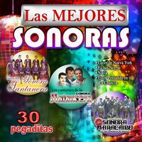 Pobre Reyna - Las Mejores Sonoras