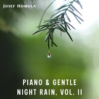 Give Me Strength - Josef Homola
