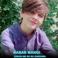 Zargai Me Ro Ro Zangawa - Rabab Mangi