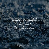 Windy Rainstorm - Music For Absolute Sleep & Sleep Music System & The White Noise Zen & Meditation Sound Lab