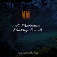 Finding Peace - Easy Sleep Music & Chakra Balancing Sound Therapy & Sleeping Music