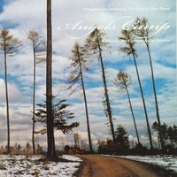 Forest lament - Honey For Petzi