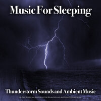 Sleep Music Playlist - Sleeping Music & Music for Sleeping Ensemble & Thunderstorm Sleep