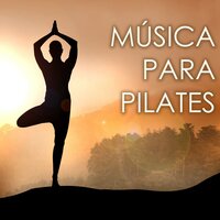 Ejercicios Fisicos en Casa - Pilates Trainer