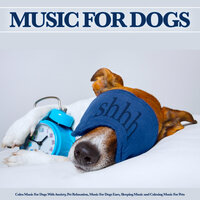 Peaceful Dog Music - Music for Dogs & Dog Music & Music For Dogs With Anxiety