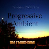 Poor in Spirit Are Blessed - Cristian Paduraru & Organic