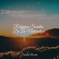 Toque Relajante - Saludo al Sol Sonido Relajante & Sonidos de la Naturaleza Relajacion & Academia de Música para Massagem Relaxamento