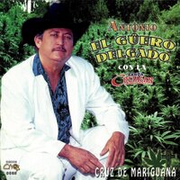 "Me Voy Me Voy" - Antonio El Guero Delgado