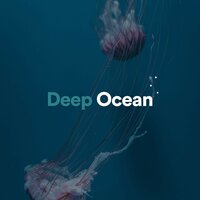 Deep Ocean, Pt. 24 - Ocean in HD