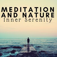 Natural Effect - John Zen & Bedtime Songs Collective & Bedtime Songs Collective & John Zen