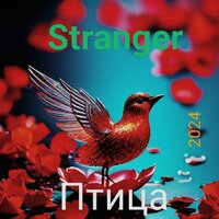Птица - Stranger
