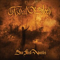 Ship Of Stake - Wall Of Sleep