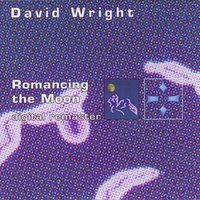 Tunnel Vision - David Wright