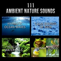 Open Your Chakras - Calm Sleep Through the Night