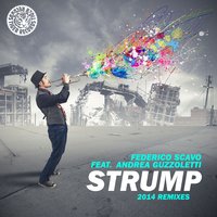 Strump 2014 - Federico Scavo