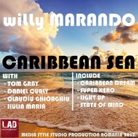 Sate Of Mind - Willy Marando & Claudiu Ghiorghiu & Iulia Maria