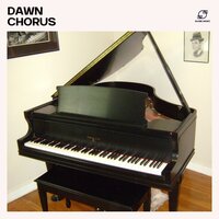Piano Study Music - Piano Music Collection & Classical Piano & Relaxed Piano Music & Calm Instrumental Piano