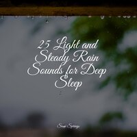 Rainy Ambience - Relaxing Spa Music & Nature & Sounds Backgrounds & Ambient Forest