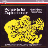 Konzert in G-Dur für Mandoline und Zupforchester: II. Largo, Allegro - DZO-Kammerorchester & Siegfried Behrend & Иоганн Адольф Хассе